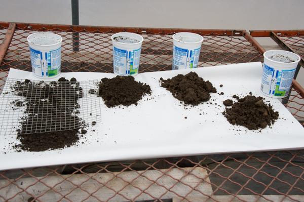 Plastic cups next to drying soil samples